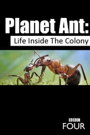 Planet Ant: Life Inside The Colony