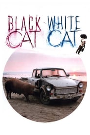 Black Cat, White Cat