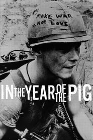 In the Year of the Pig