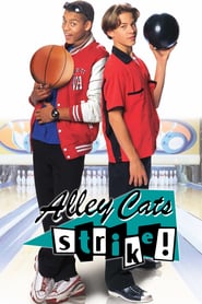 Alley Cats Strike