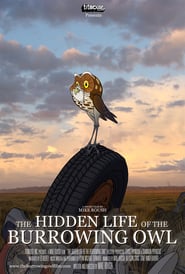 The Hidden Life of the Burrowing Owl