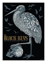 The Black Keys: Live At Austin City Limits