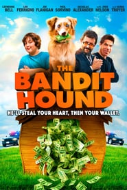 The Bandit Hound