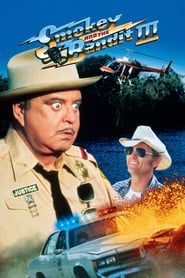 Smokey and the Bandit Part 3