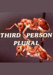 Third Person Plural