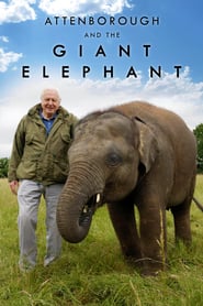 Attenborough and the Giant Elephant