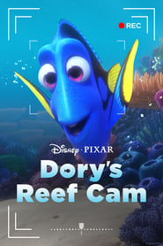 Dory’s Reef Cam